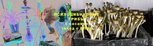 спайс Надым