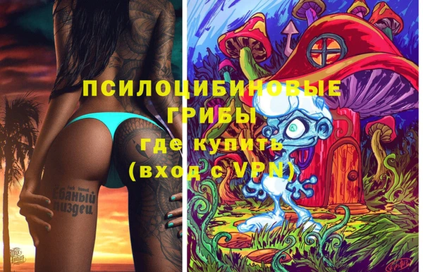 спайс Надым